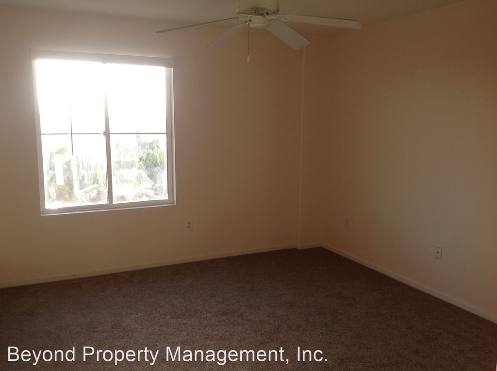 1430 Paseo Aurora - Photo 12