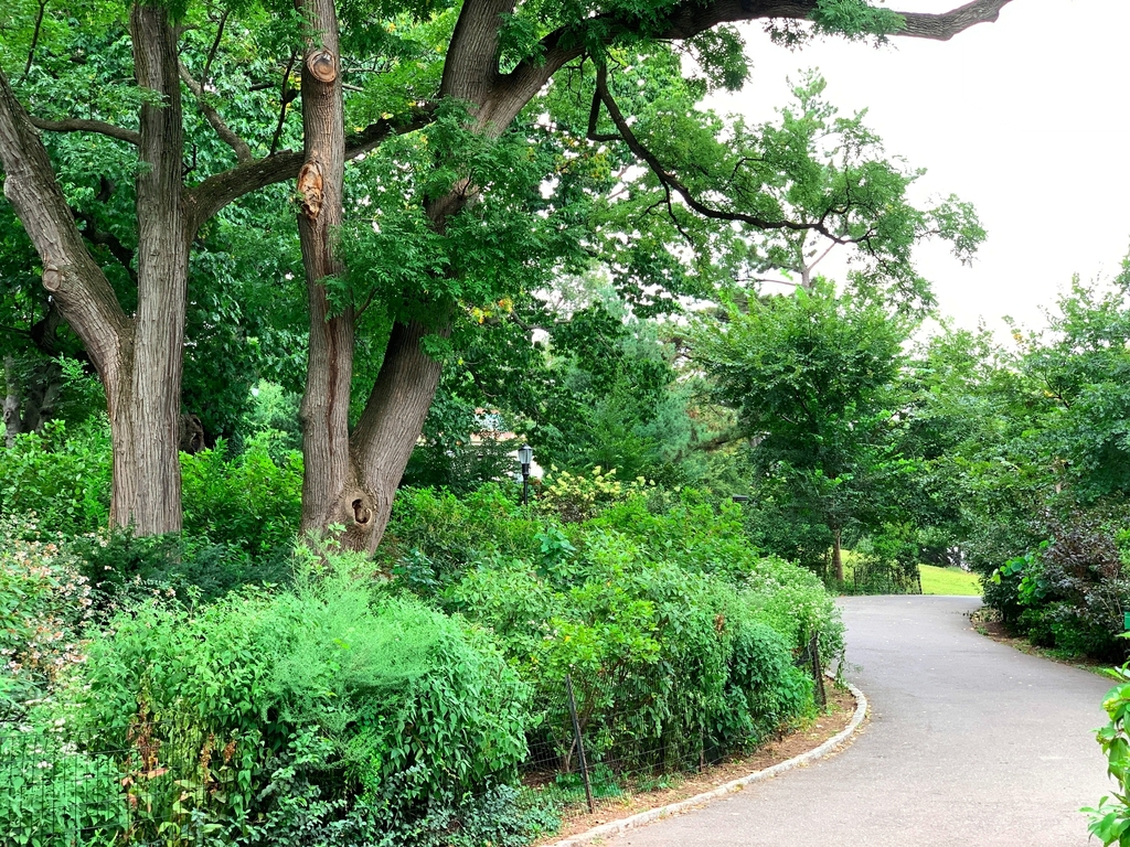 Cumberland Street at Fort Greene Park - Photo 8