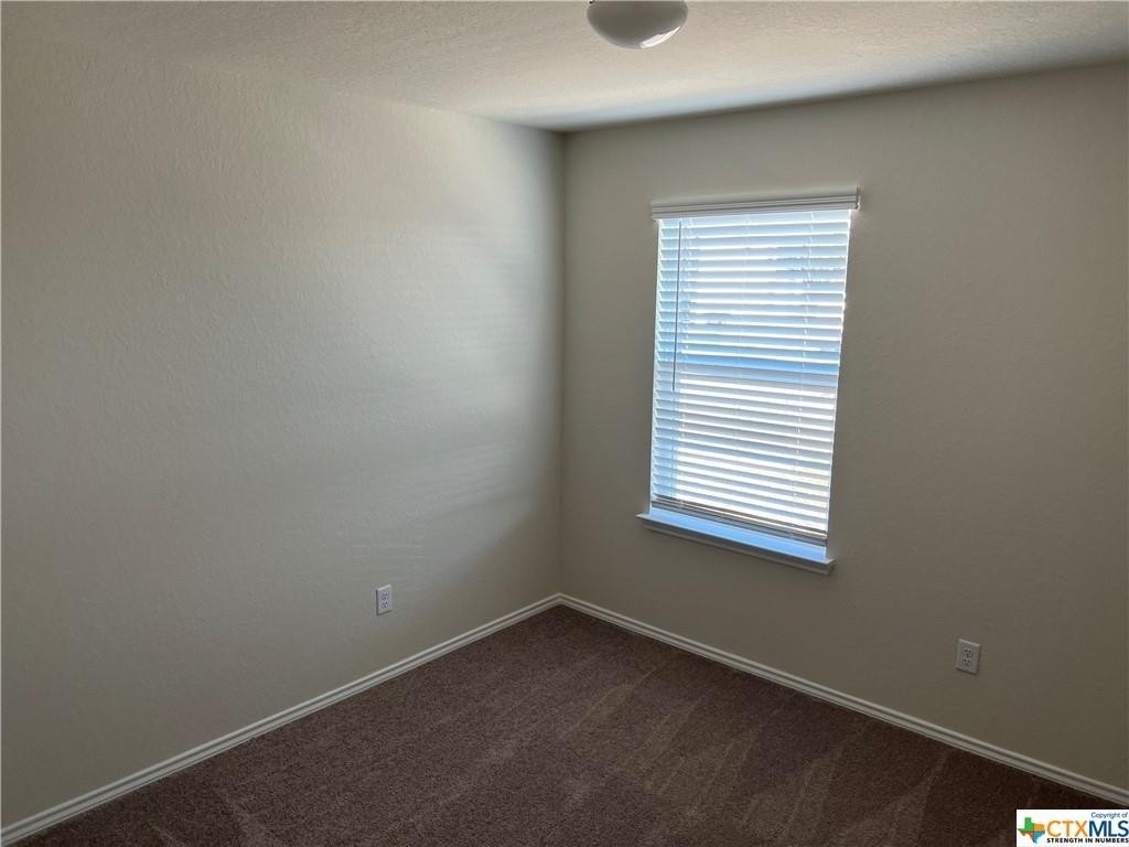 27509 Sienna Creek - Photo 15