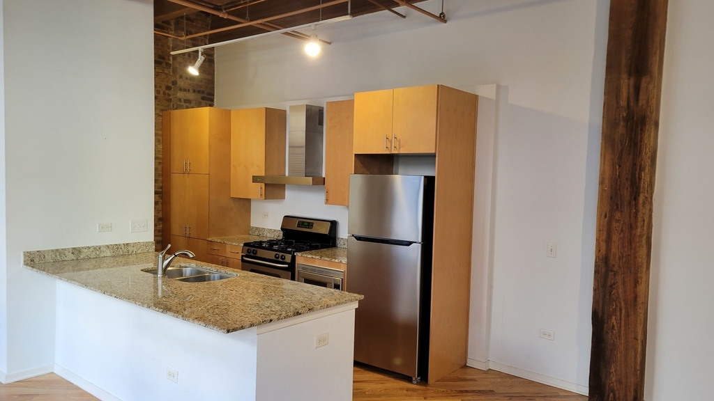 1040 W Adams Street - Photo 2