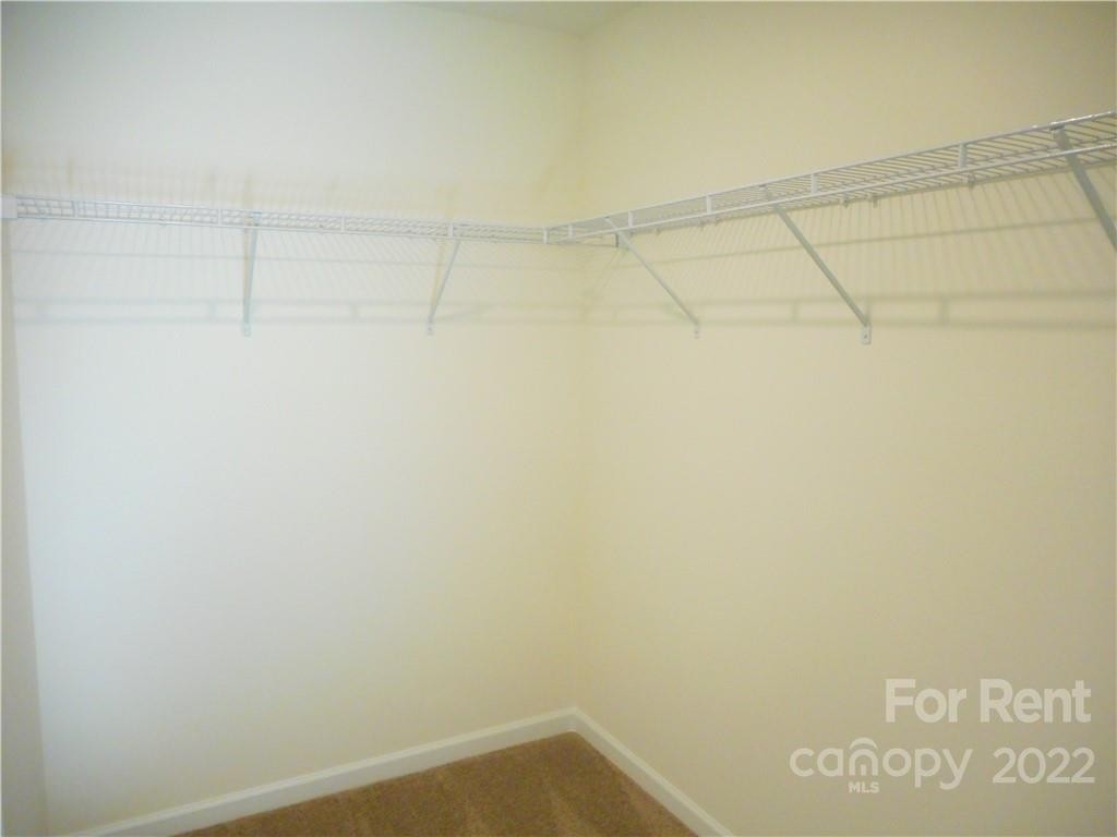 230 Harpers Run Lane - Photo 12