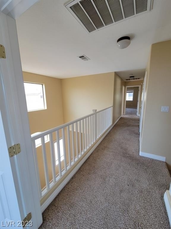 8020 Cool Springs Street - Photo 12