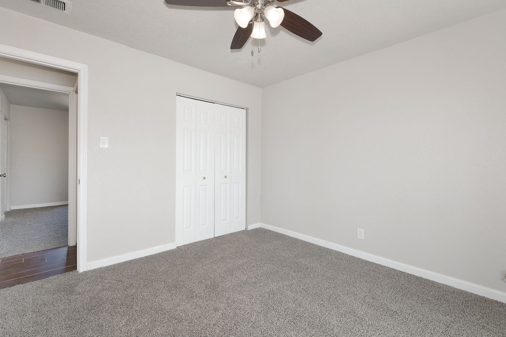 6510 Spring Lark - Photo 13