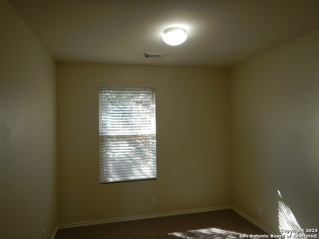 10216 Lateleaf Oak - Photo 11