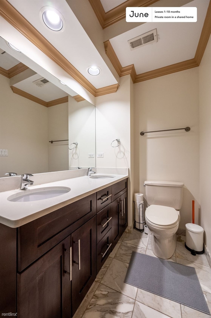 1508 West 18th Street, Chicago, Il, 60608 - Photo 5