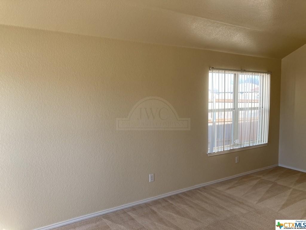 5302 Jitterbug Court - Photo 1