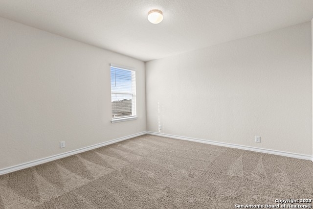 13526 Mendes Knoll - Photo 19