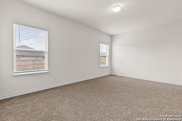13526 Mendes Knoll - Photo 11