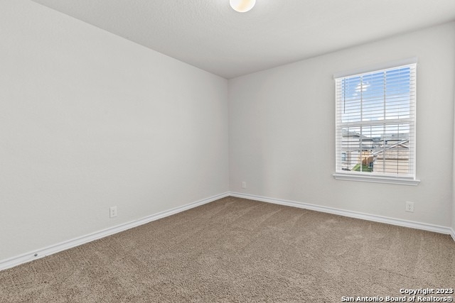 13526 Mendes Knoll - Photo 24
