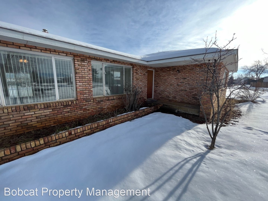 5229 Silver Sage Dr - Photo 3