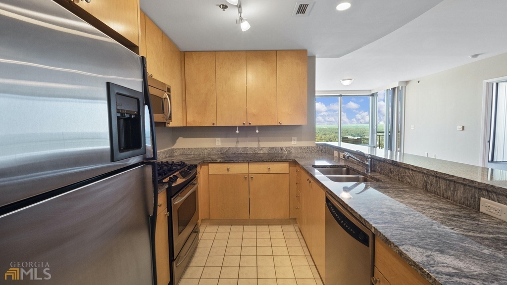 3338 Peachtree Rd  #3001 - Photo 5