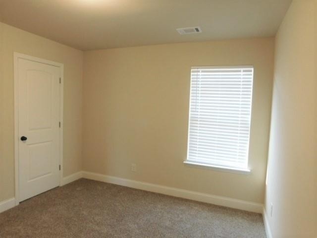 2509 Wimberley Pine Court - Photo 29