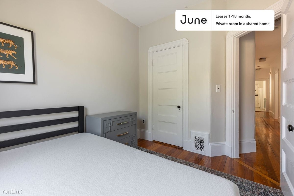 787 Columbia Road, Boston, Ma, 02125 - Photo 2