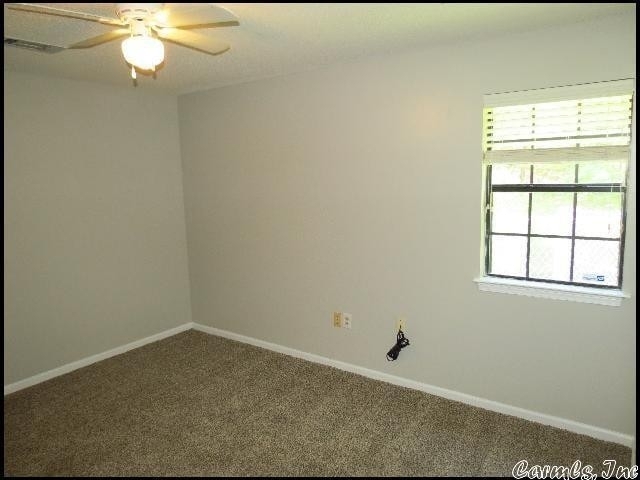 9803 Pinnacle Valley Road - Photo 20