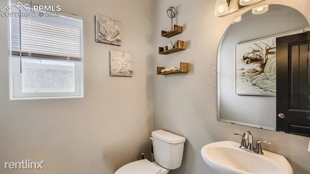 7352 R Bigtooth Maple Drive - Photo 13