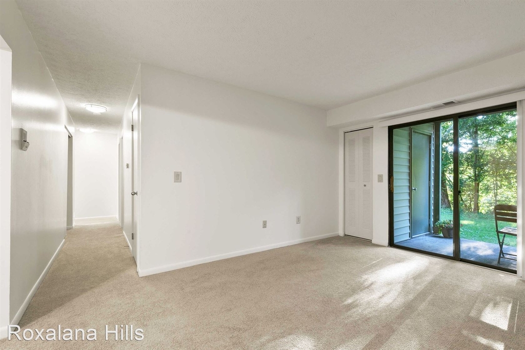 700 Roxalana Hills Drive - Photo 17