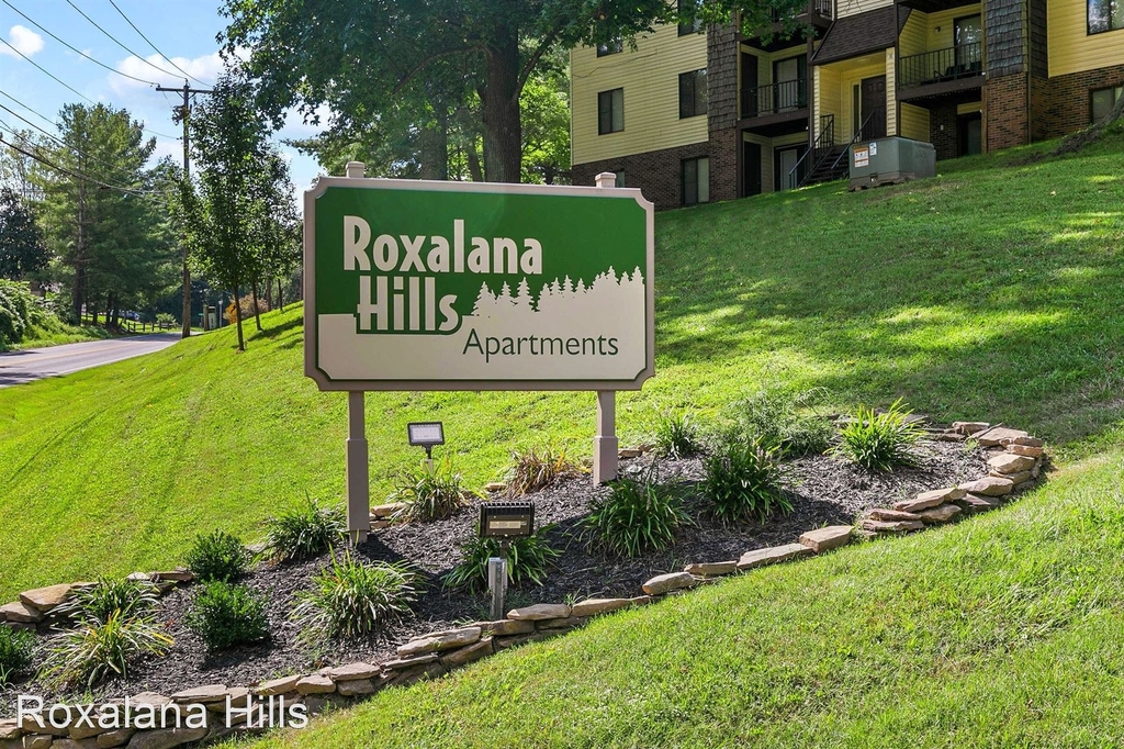 700 Roxalana Hills Drive - Photo 2