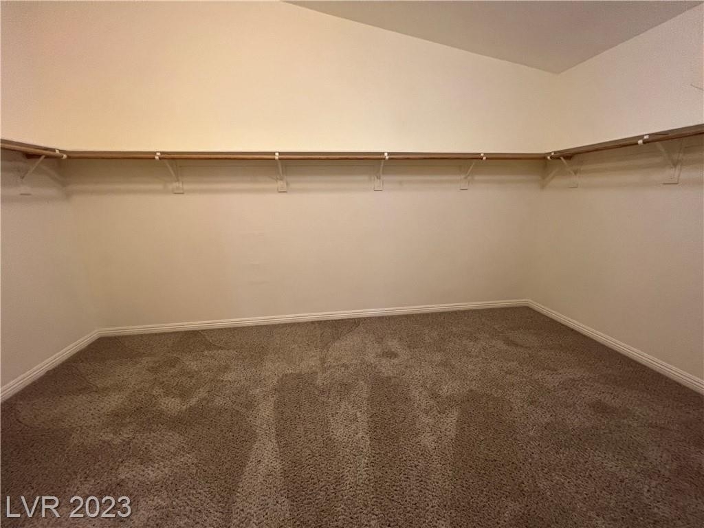 6350 Tempting Choice Avenue - Photo 38