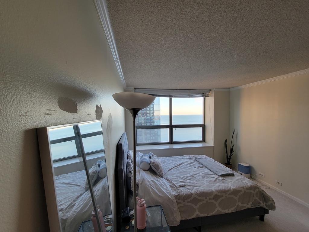 474 N Lake Shore Drive - Photo 5