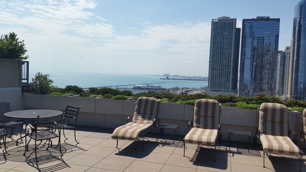 474 N Lake Shore Drive - Photo 14