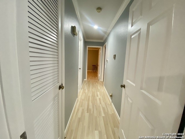 8415 Fredericksburg Rd - Photo 10