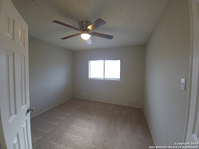 11011 Almond Park - Photo 12