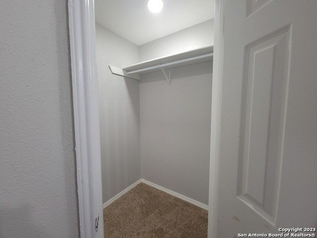 11011 Almond Park - Photo 11