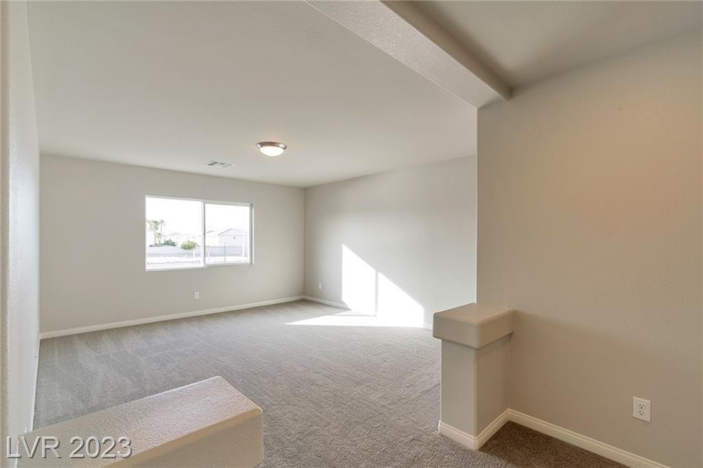 10583 Parthenon Street - Photo 20