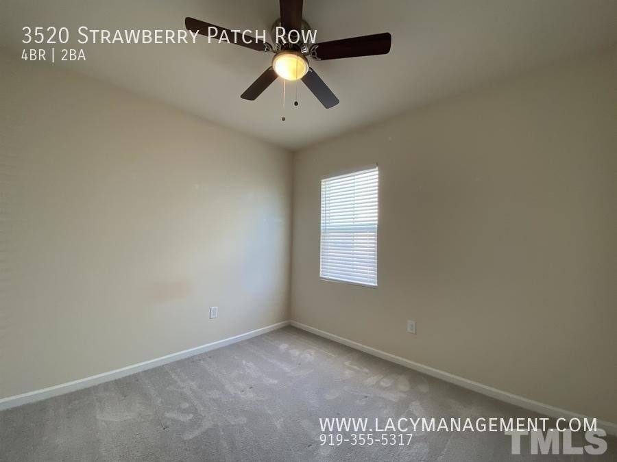 3520 Strawberry Patch Row - Photo 12