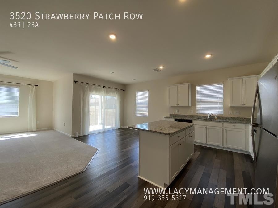 3520 Strawberry Patch Row - Photo 3