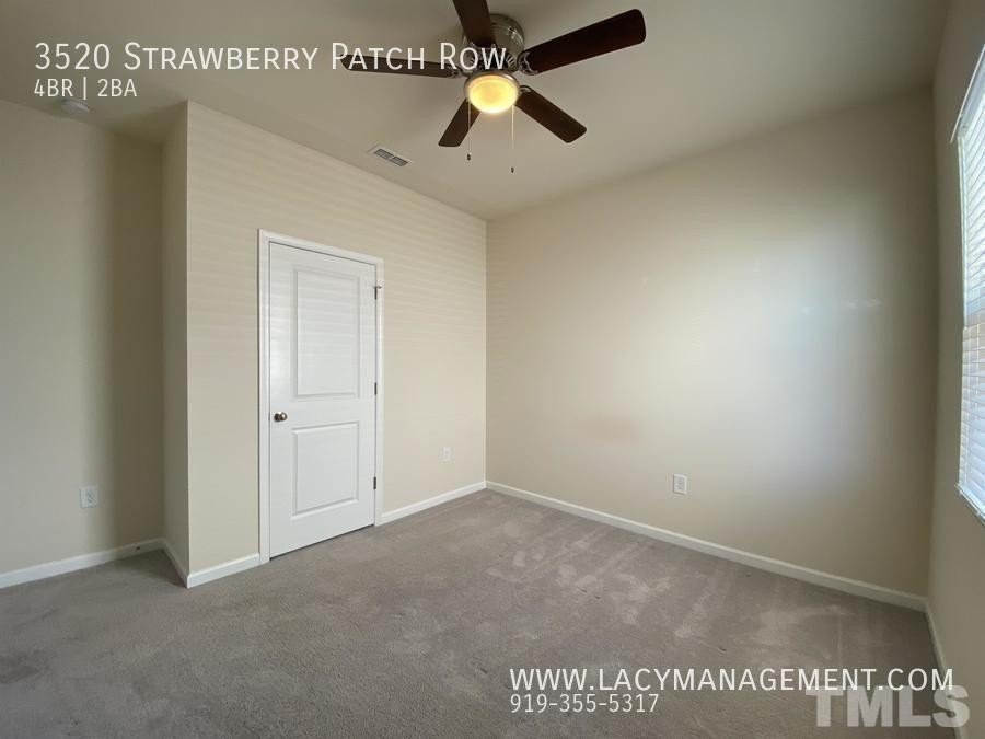 3520 Strawberry Patch Row - Photo 13