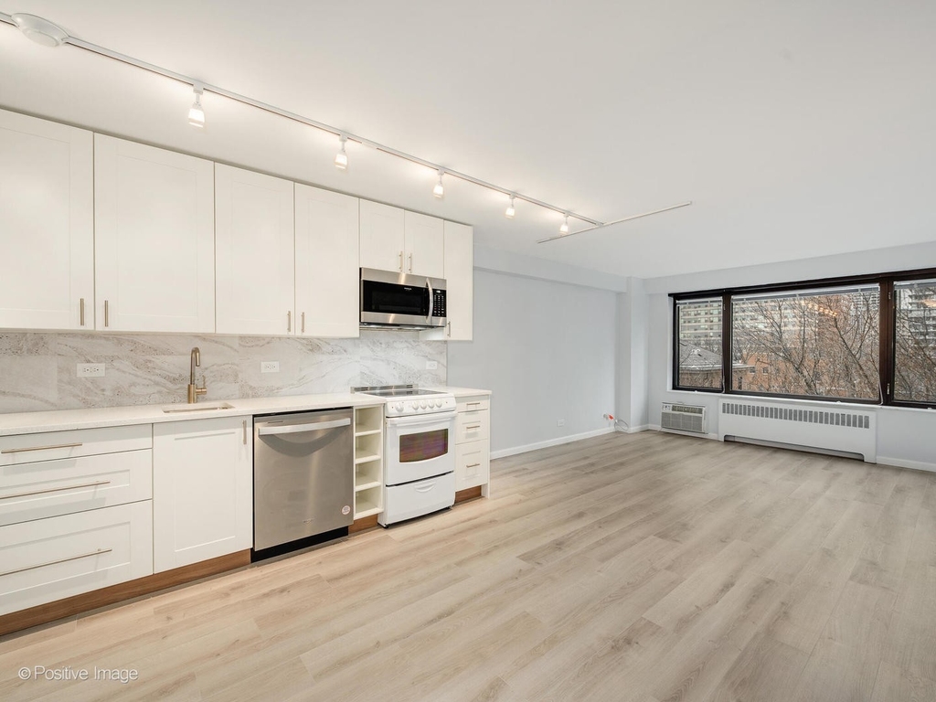 3100 N Lake Shore Drive - Photo 1