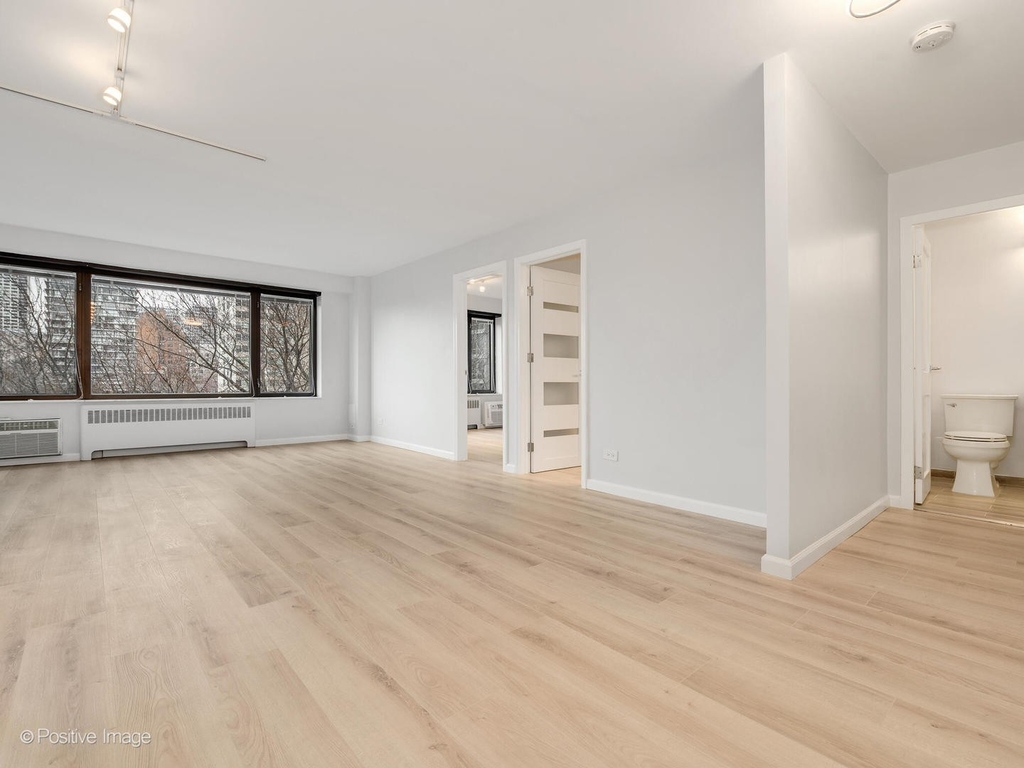 3100 N Lake Shore Drive - Photo 3