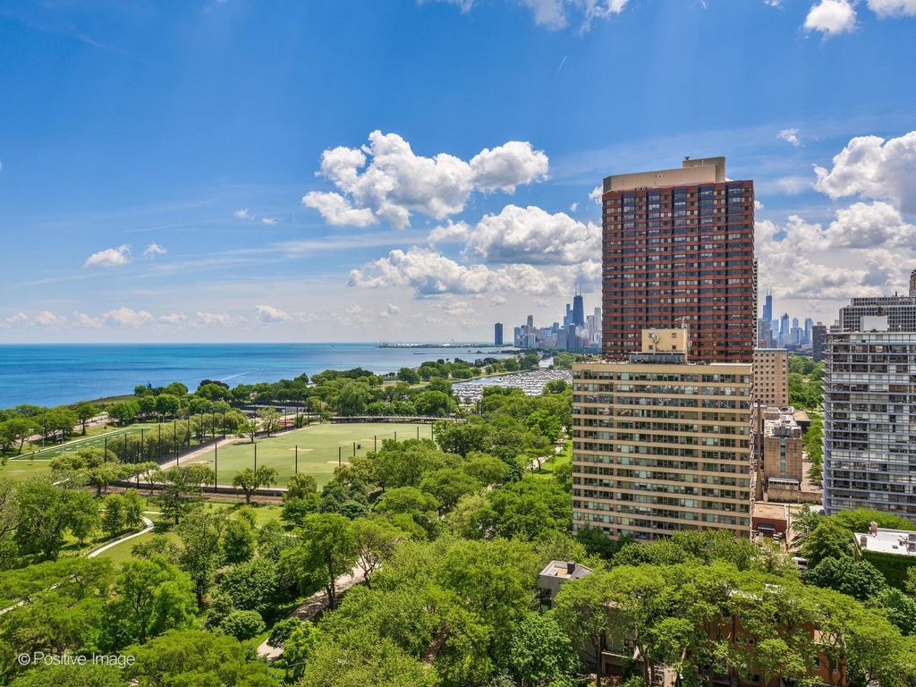 3100 N Lake Shore Drive - Photo 18