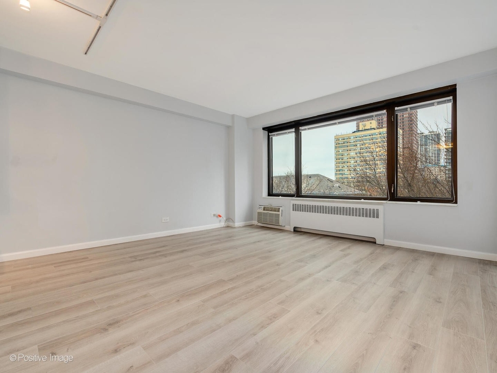 3100 N Lake Shore Drive - Photo 4