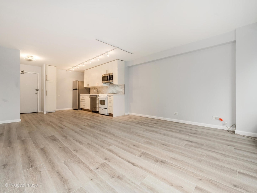 3100 N Lake Shore Drive - Photo 6