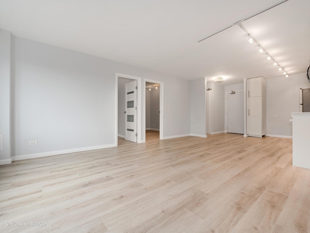 3100 N Lake Shore Drive - Photo 8