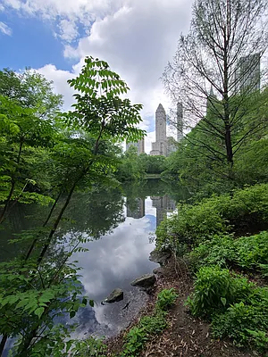 West 58th St & 7th Ave - Photo 5