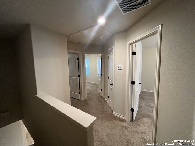 7002 Donovan Way - Photo 17