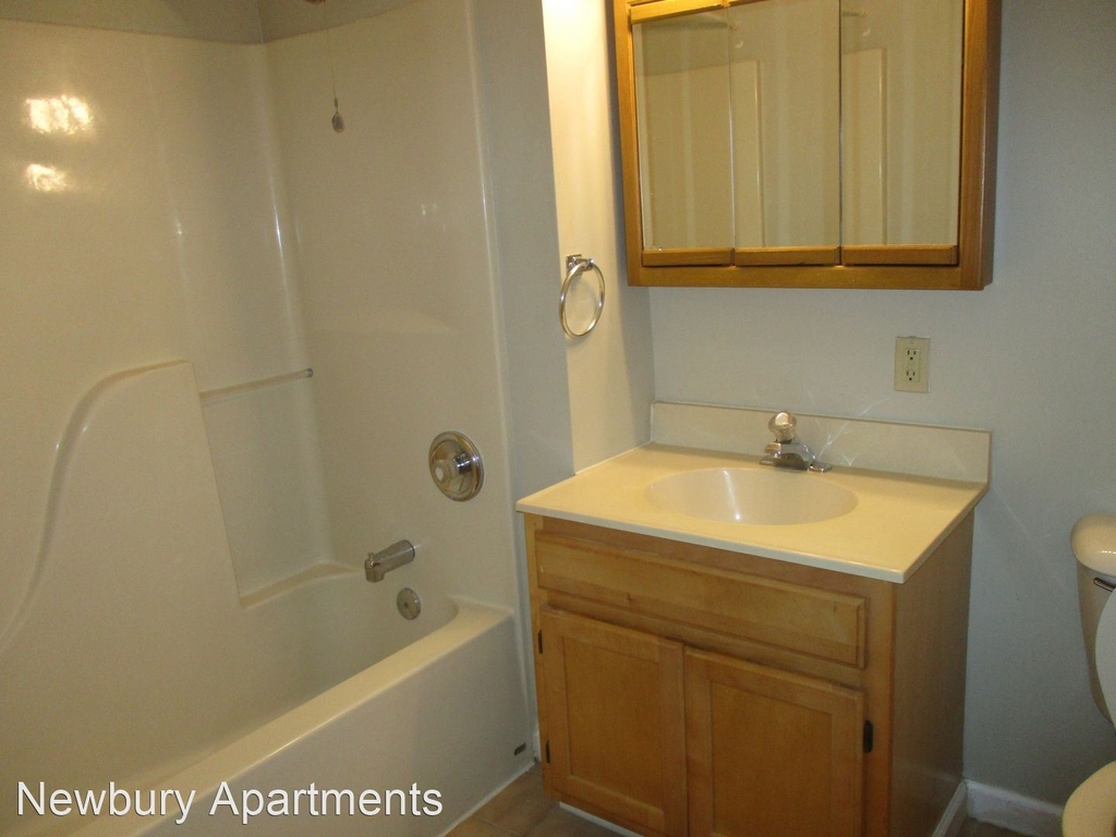 116 Newbury Hollow Lane - Photo 2