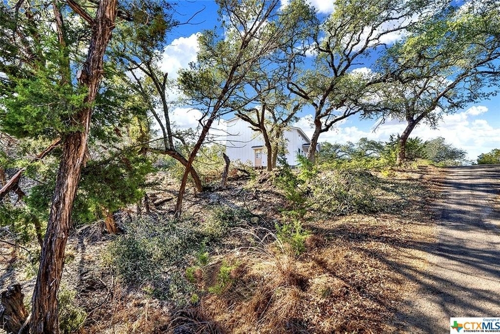 5 Mesquite Trail - Photo 6