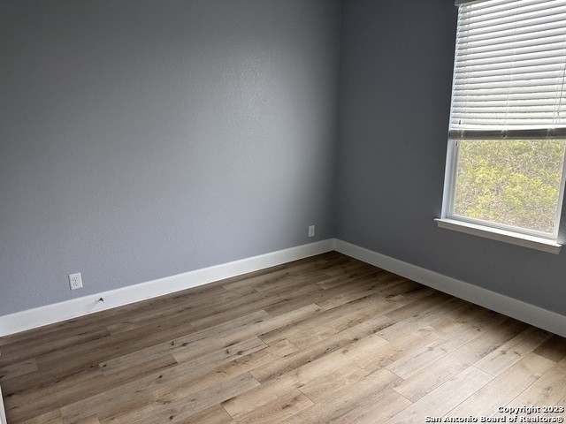 23939 Stately Oaks - Photo 17