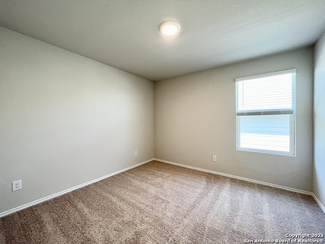 344 Desert Willow - Photo 16