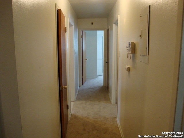 318 Como St - Photo 7