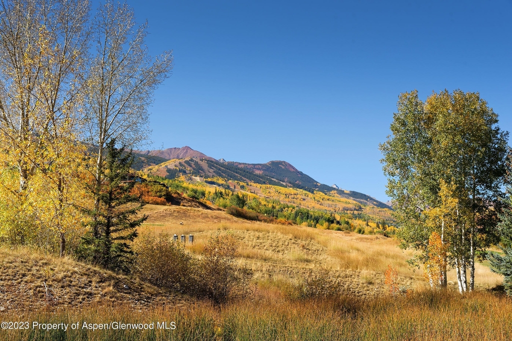 294 Snowmass Club Circle - Photo 21