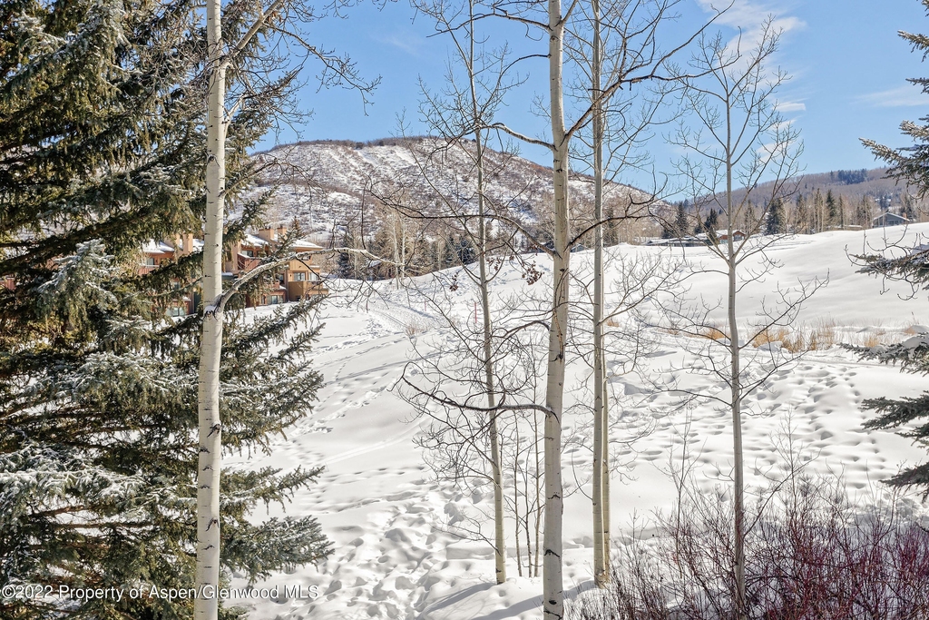 294 Snowmass Club Circle - Photo 14