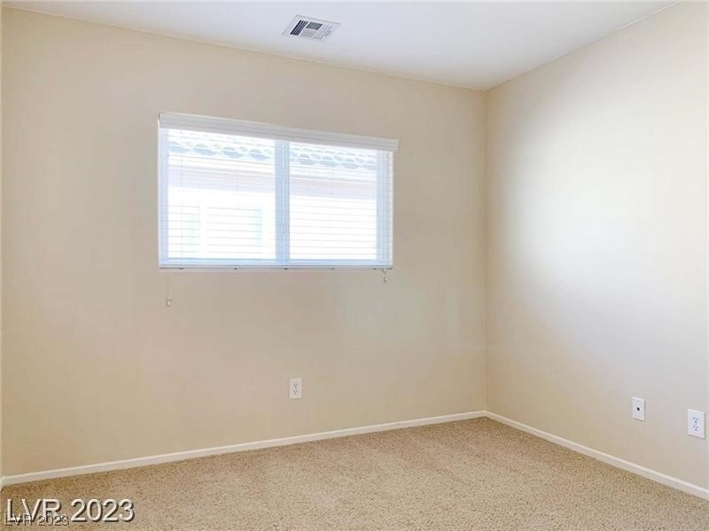 6323 Alpine Tree Avenue - Photo 21