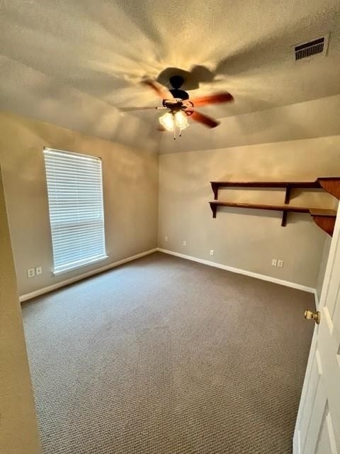 1003  Mesquite Hollow Pl - Photo 17