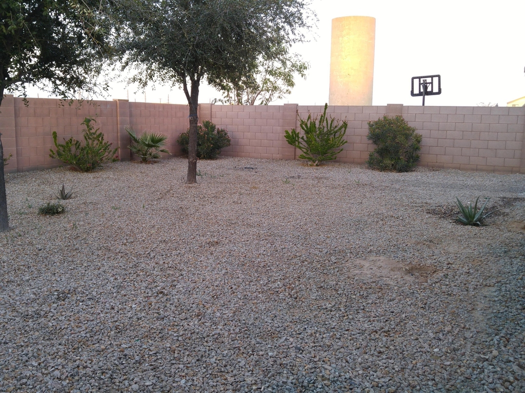 10634 W Papago Street - Photo 3