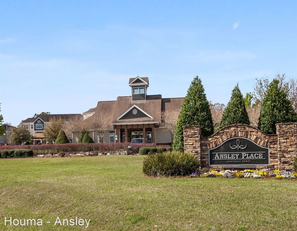 100 Ansley Place Court - Photo 17